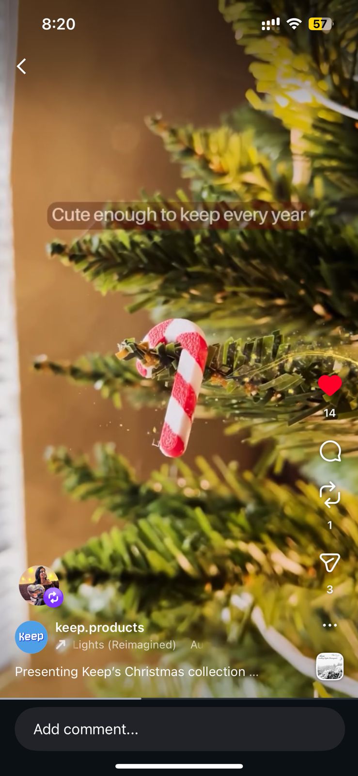 Christmas Tree Decor - Canes